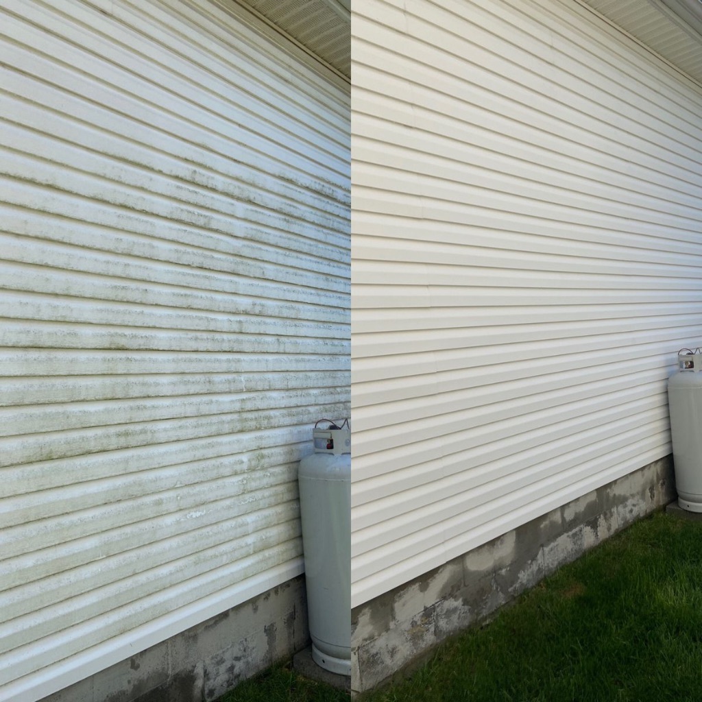 House Siding Cleaning Before & After