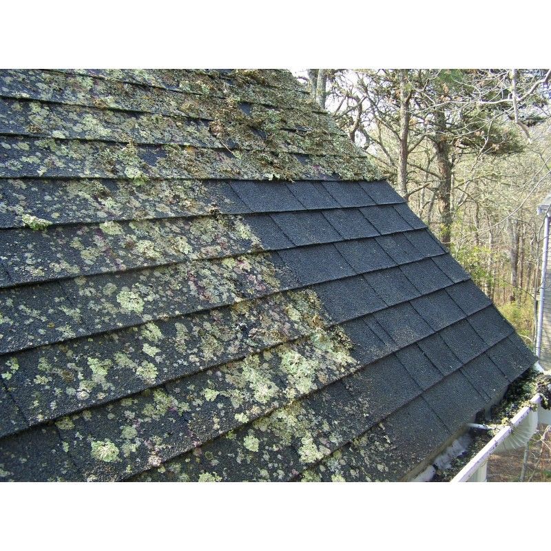 Roof Cleaning Before & After