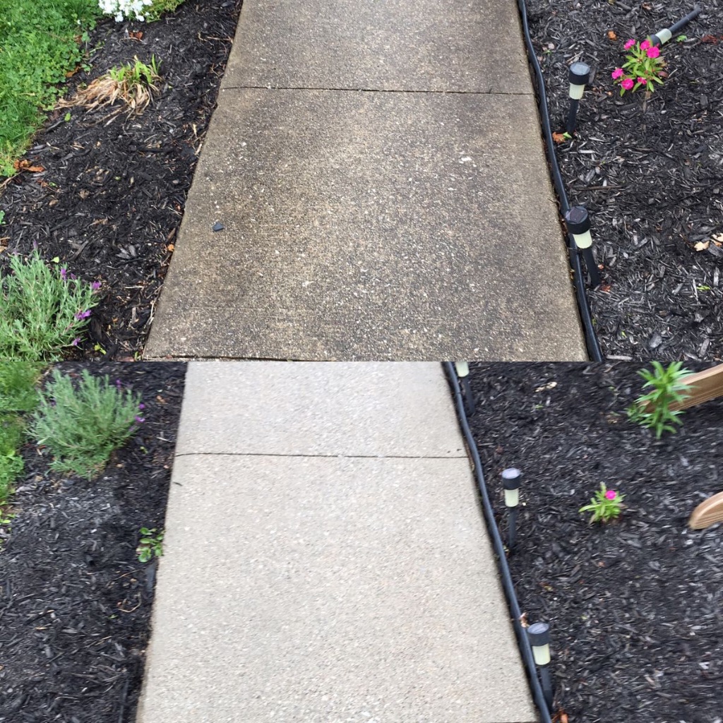 Residential Walkway Cleaning